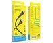 Кабель USB-C Borofone BX51 Triumph Type-C 1m black 01050495 фото