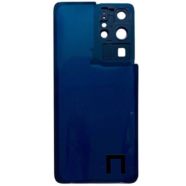 Задня кришка Samsung G998 Galaxy S21 Ultra silver (зі склом камери) 6073 фото