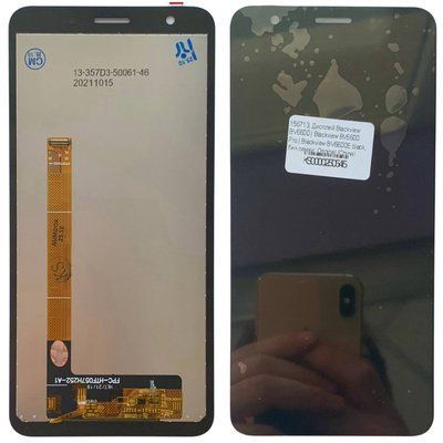 Дисплей для Blackview BV6600 | Blackview BV6600 Pro | Blackview BV6600E з чорним тачскріном, Original (China) 237839 фото